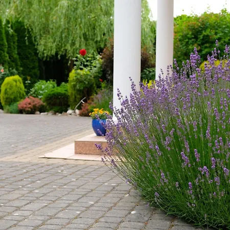 Natalia Rusinowo (Slawno)