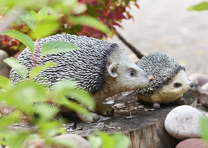 Natalia Kwatera prywatna Rusinowo (Slawno)